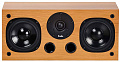 Centre Voice Centre Voice